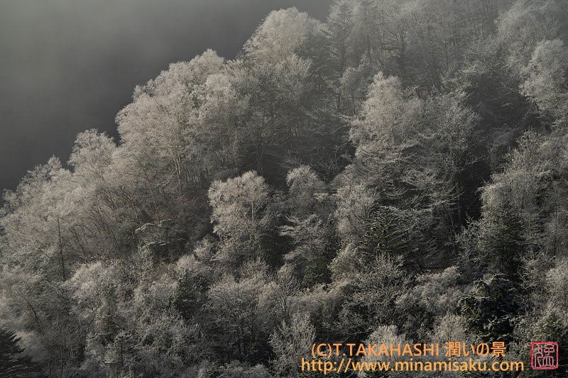 ../Images/7R251129 (82).jpg